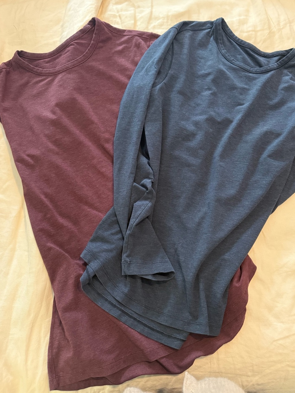 Lululemon Long Sleeve Crewneck Top - Blue and Burgundy EUC G000